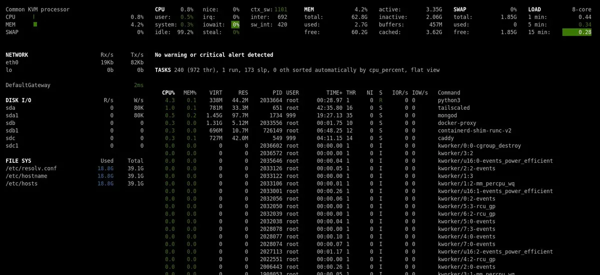 Self-hosted Server Monitoring with Glances